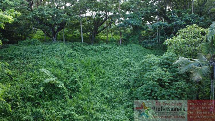 Address withheld Taveuni_18