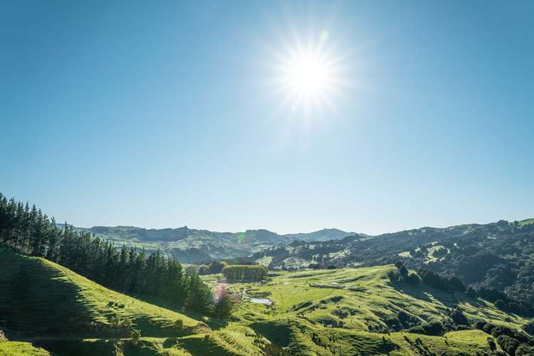 229 Rangikohua Road_0