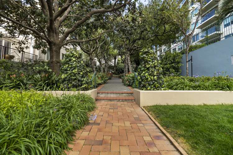 1a/18 Joseph Banks Terrace Remuera_13