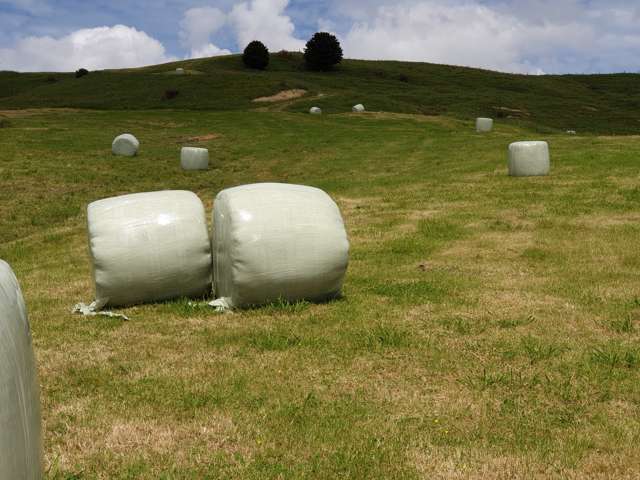 121 Whakapirau Road Maungaturoto_1