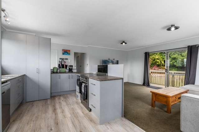 22 Toetoe Road Otaika_3
