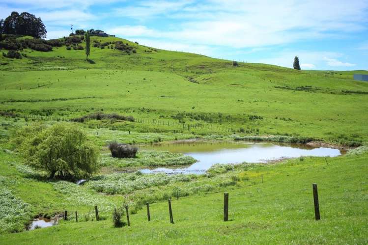 103a Ginn Road Huntly_10