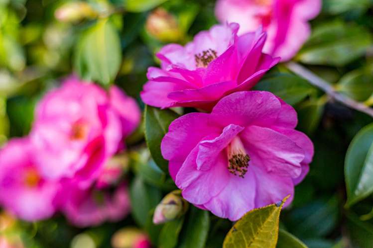 15 Kiriwai Road Paremata_21