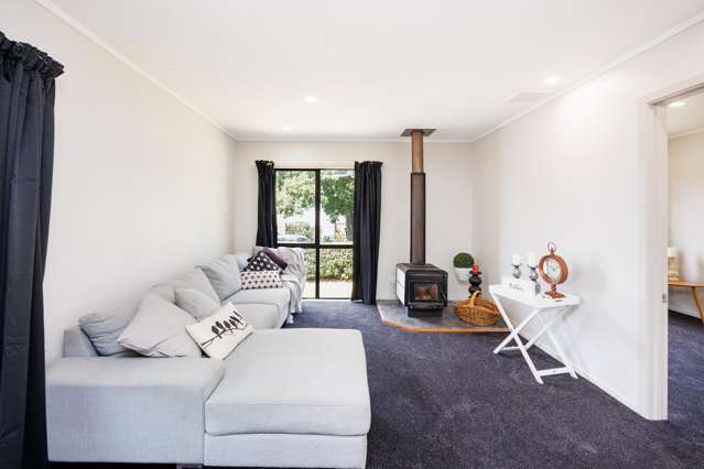 4 Ngarimu Street Roslyn_2