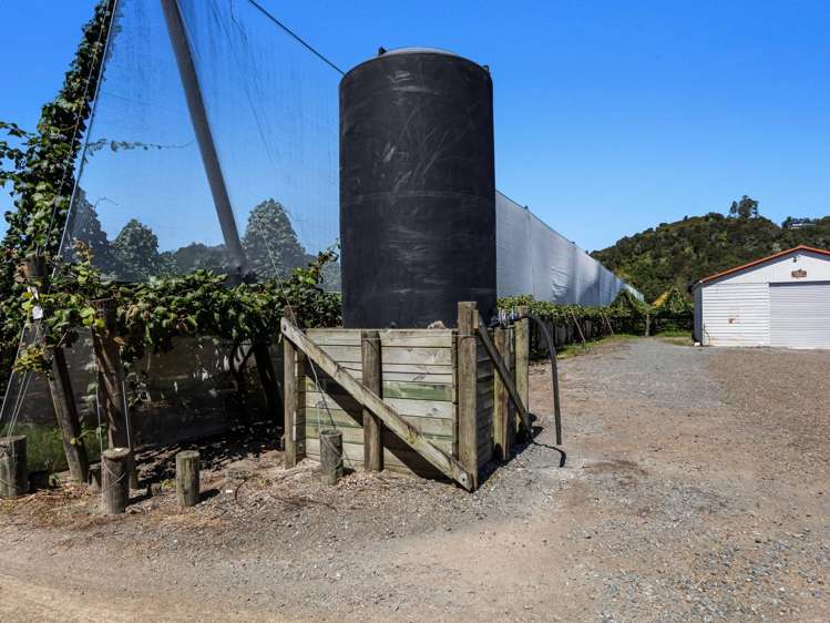 19 and 39 Butler Road Te Teko_9