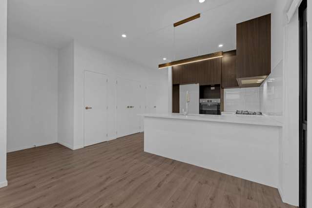 55 Kairakau Street Takanini_4