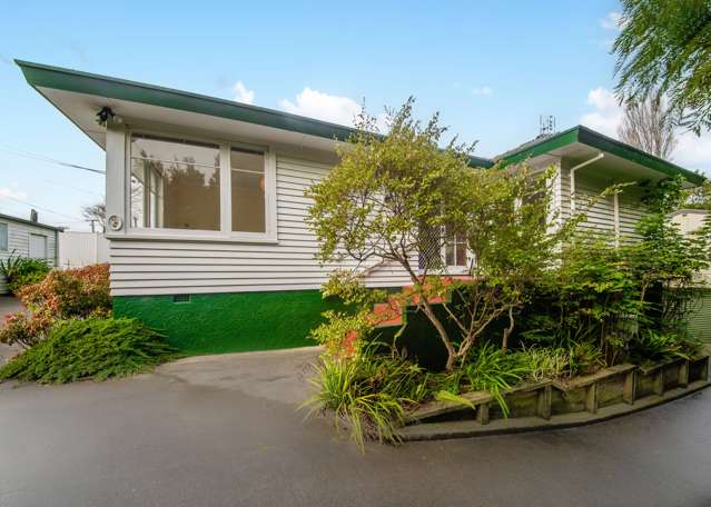 42a Sayegh Street Saint Heliers_3