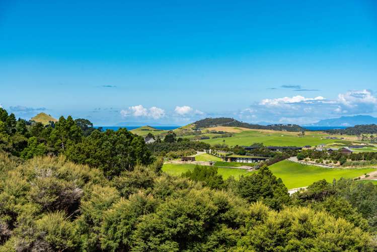 Kapawiti Road Mangawhai_8