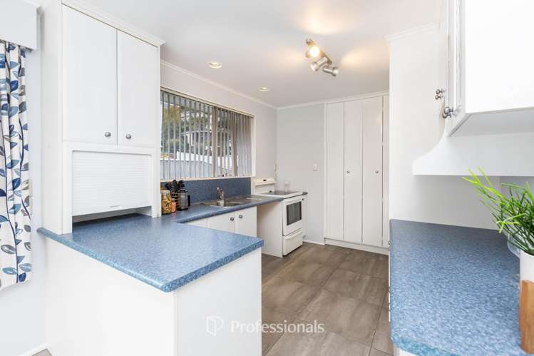 17 Sunnyview Drive Brown Owl_7