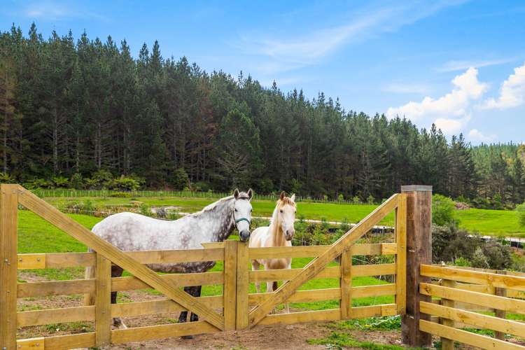 255 Mill Flat Road Riverhead_7