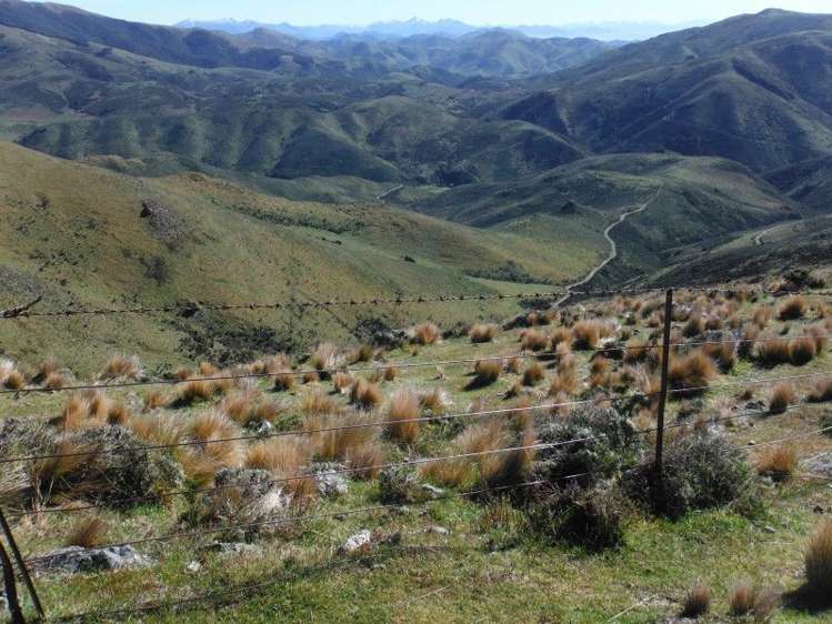 1685 Okuku Pass Road Okuku Range_7