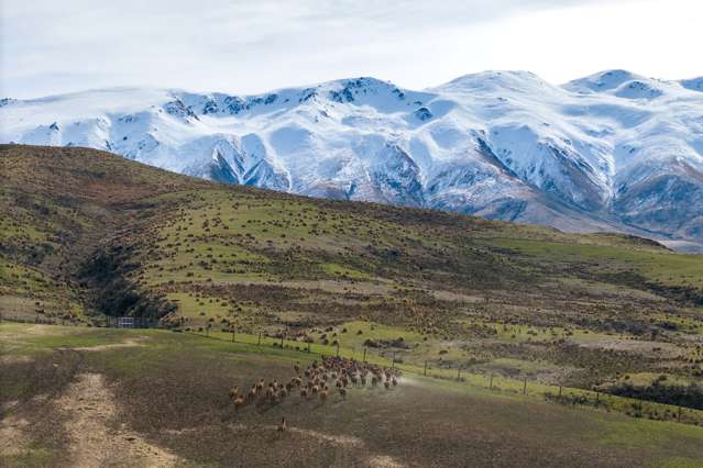 347 Butlers Road Fairlie_4