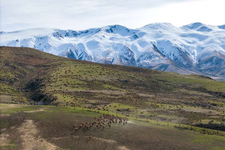 347 Butlers Road Fairlie_4