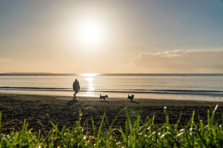 208/4 Bute Road Browns Bay_25