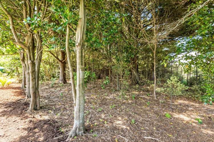 113 Hull Road Waiuku_25