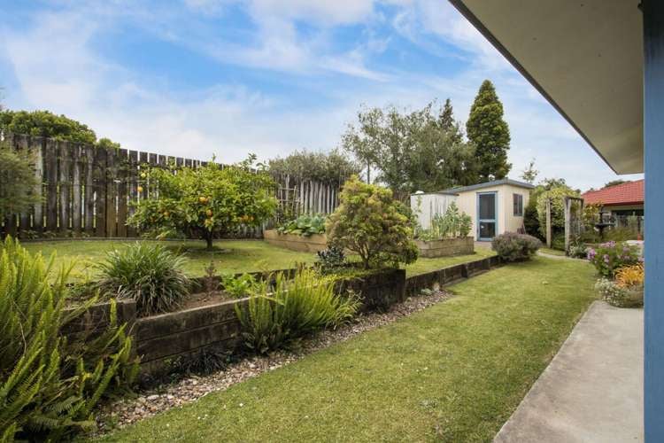 31A Walker Street Waihi_7