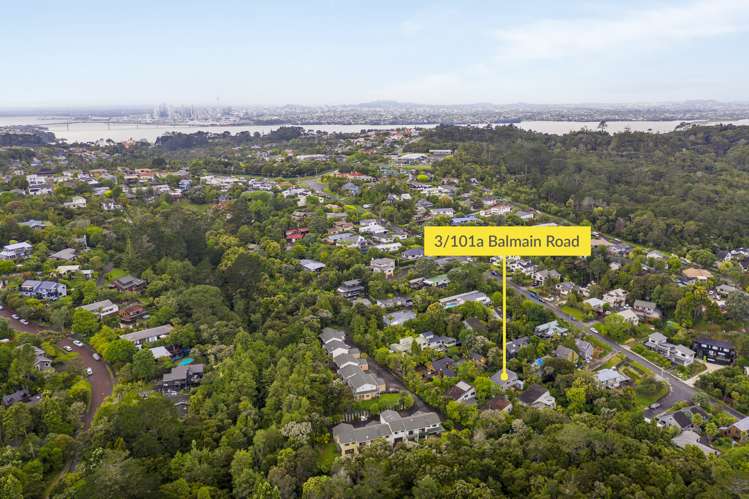 3/101a Balmain Road Birkenhead_21