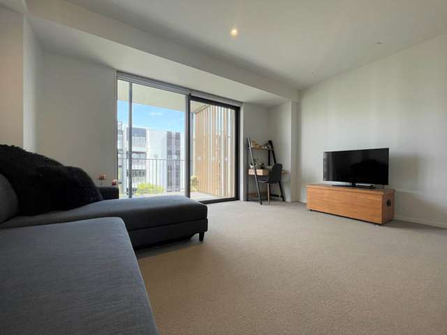 311/4 Bluegrey Avenue Stonefields_2