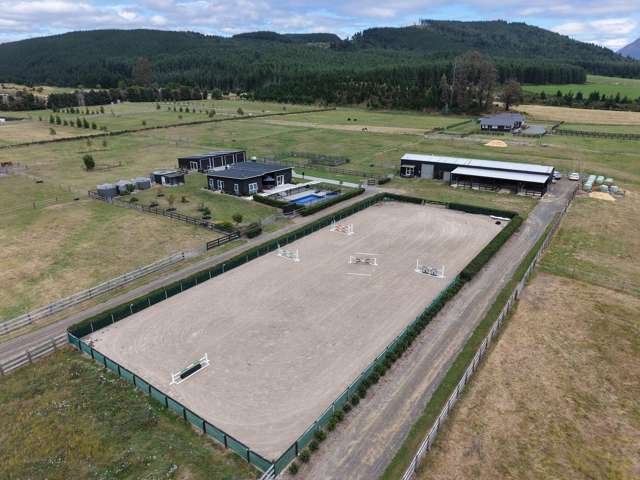 Plenty Of Horsing Around At This Lifestyle Spot