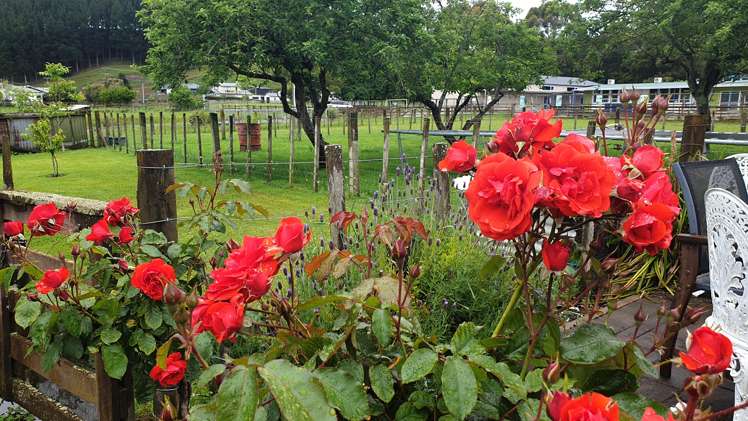 13 Concord Line Kaitoke_16