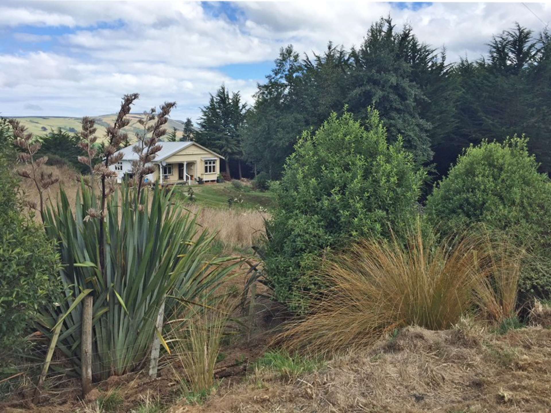 59 Settlement Hill Road Owaka Clutha Houses for Sale One Roof