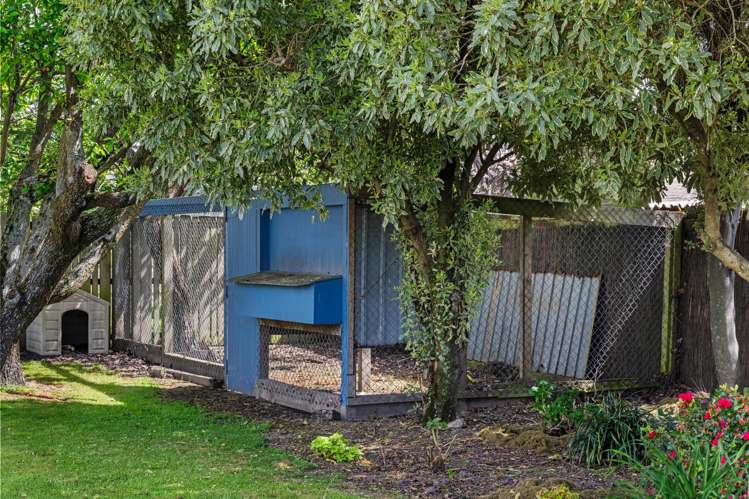 29 Rose Street Springlands_24
