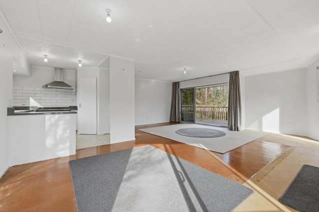84 Tebbutt Road Lower Kaimai_3