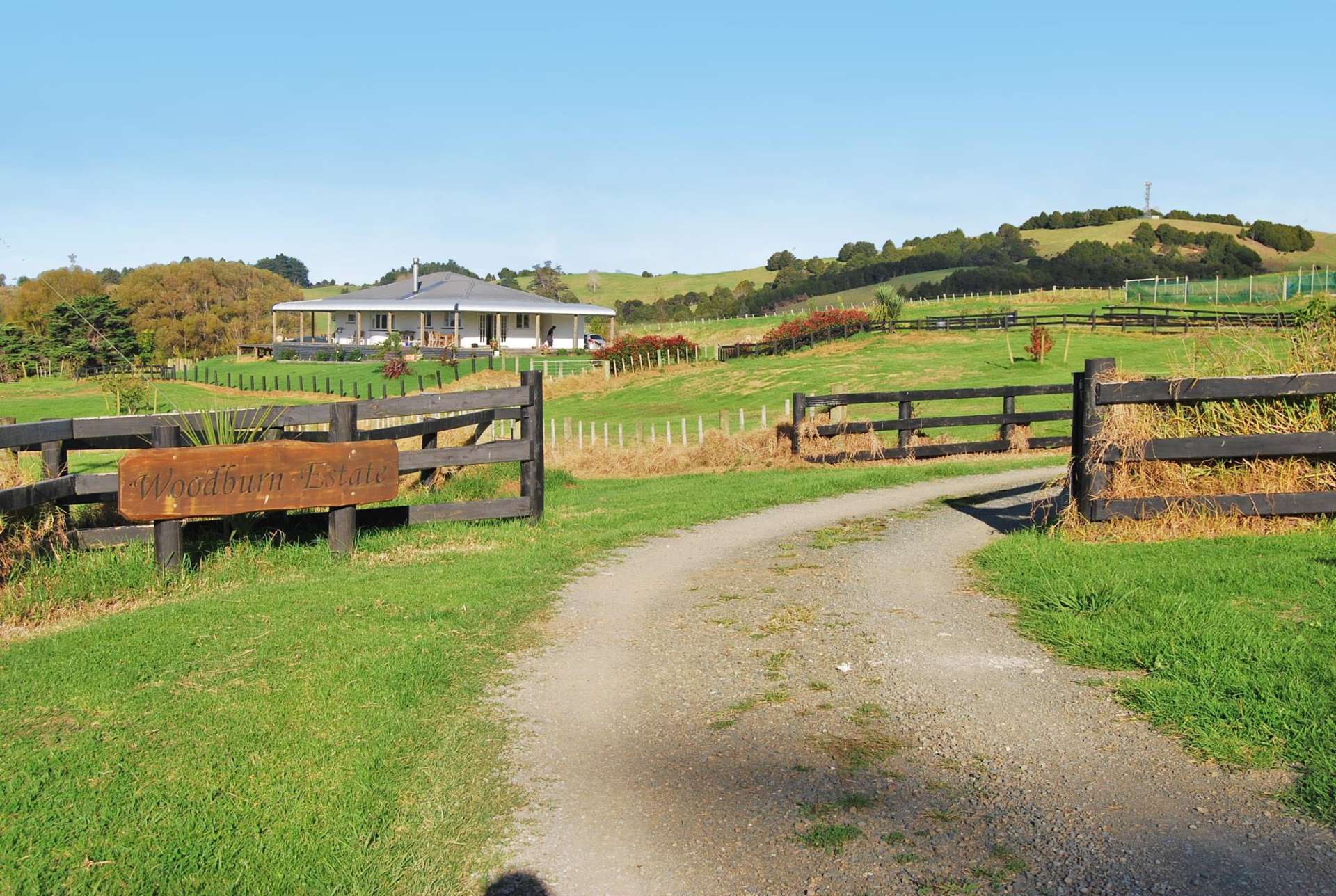 197 Pukenui Road Kaiwaka Kaipara Houses for Sale One Roof