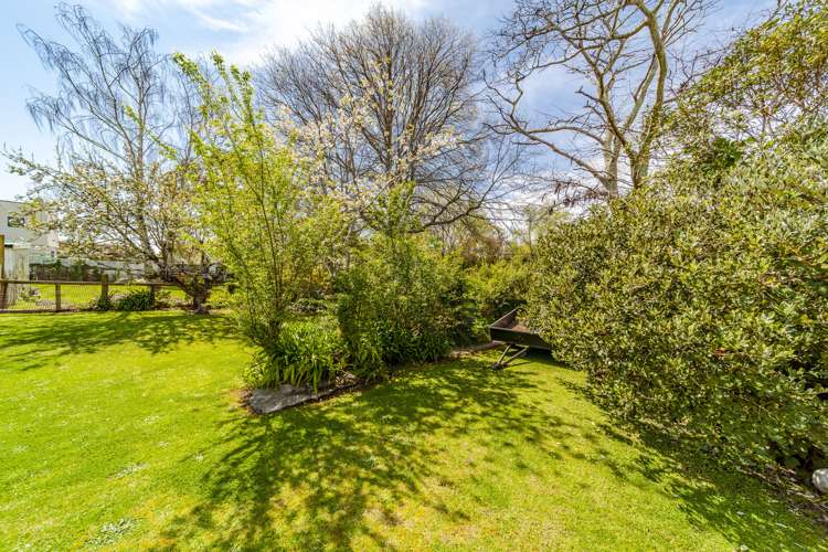 113 Porangahau Road Waipukurau and Surrounds_24