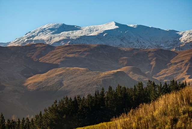 47 Threepwood Road Lake Hayes_4