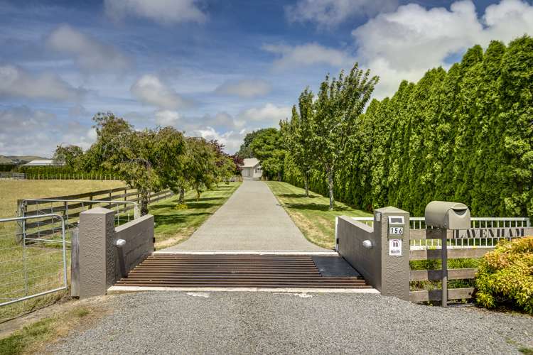 156 Thompson Road Havelock North_1