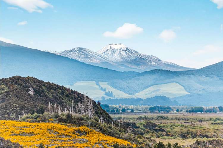 3 Te Moho Street Motuoapa_33