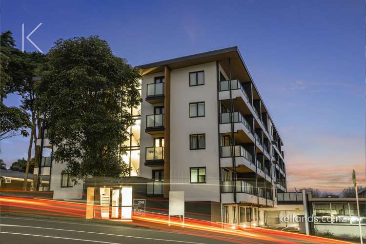 250 Richmond Road Grey Lynn_12