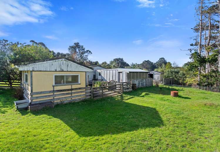 107 Paetawa Road Peka Peka_23