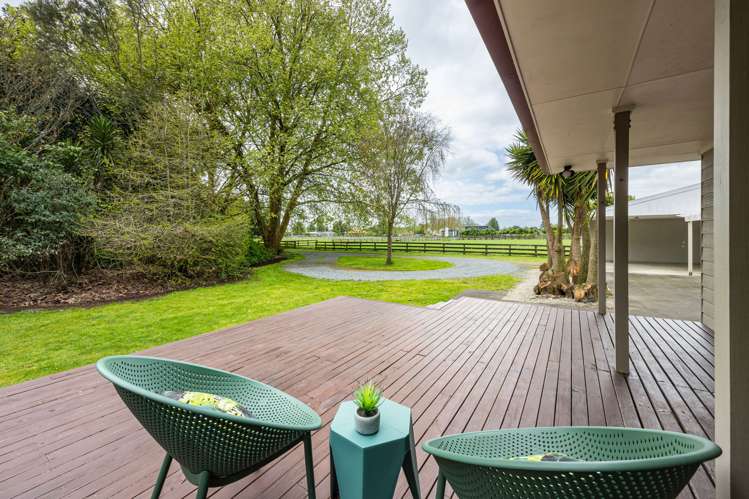 1212 Kaipaki Road Cambridge_17