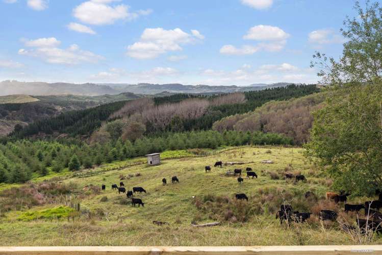 558 Matakitaki Road Glen Murray_22