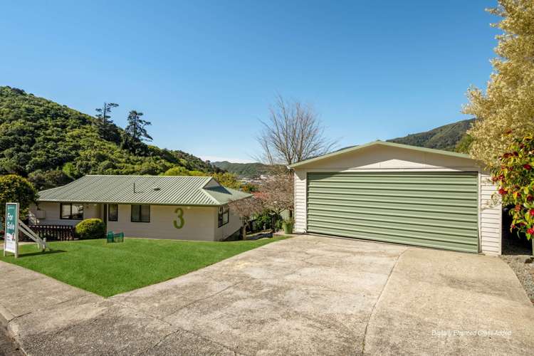 3 Webster Place Picton_24