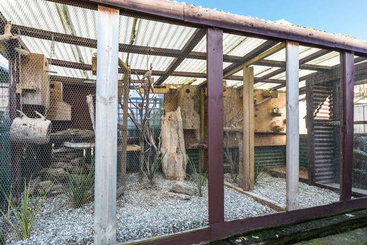 5 Windsor Place Mosgiel_23