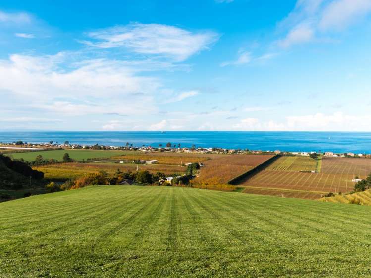 35 Heipipi Drive Bay View_7