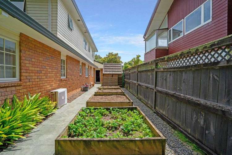 25 Walpole Avenue Hillpark_23