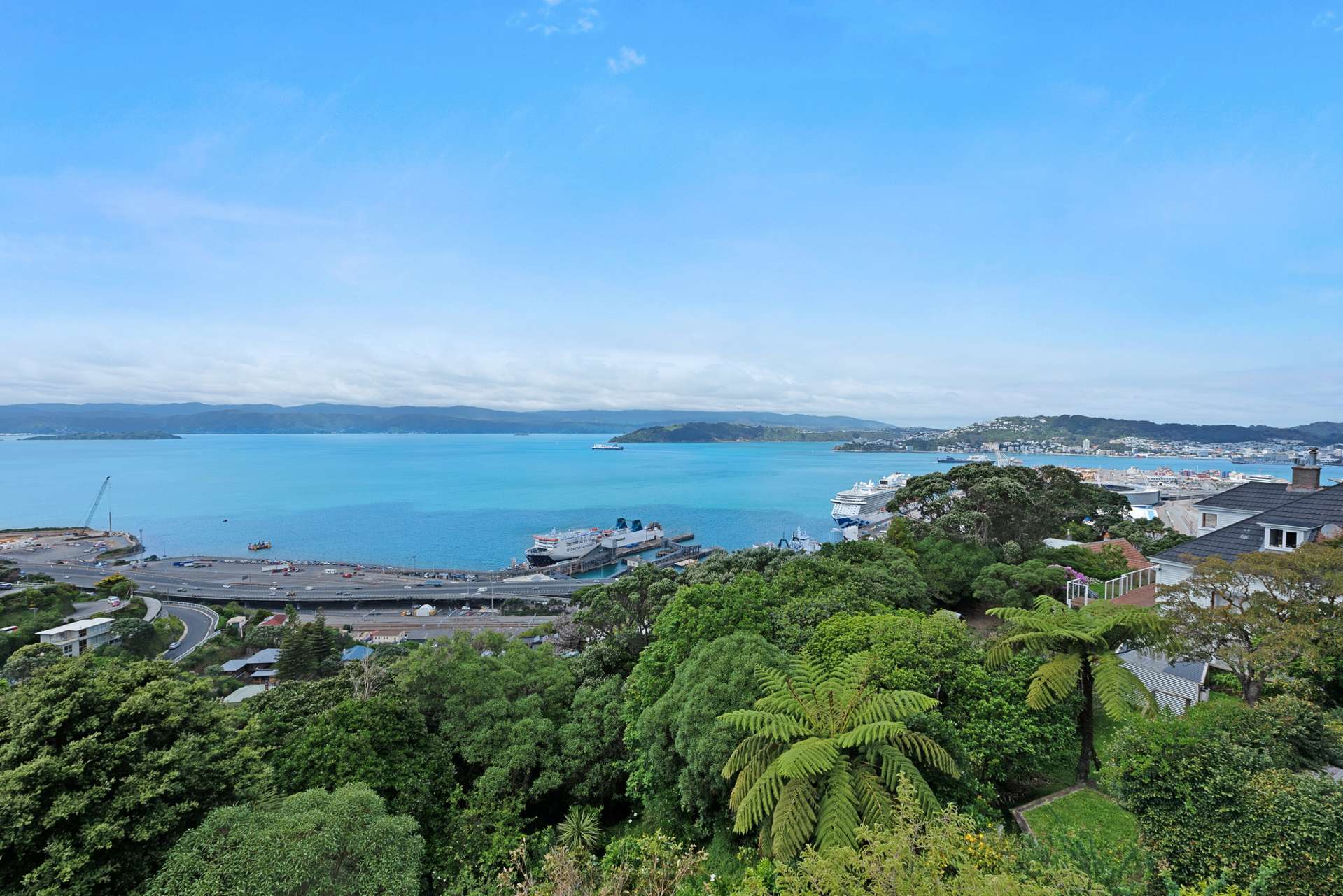 26 Anne Street Wadestown_0