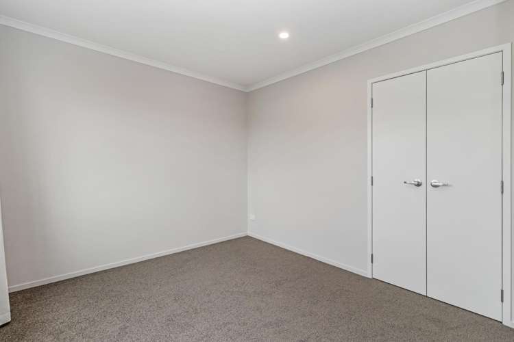 9/88 Carrington Avenue 1146_5