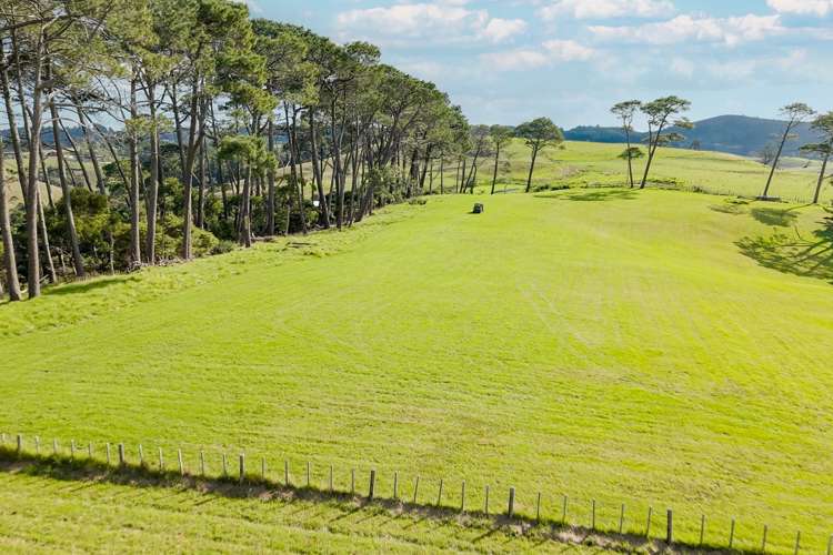 Lot 7/148-176 Waitakere Road Taupaki_7