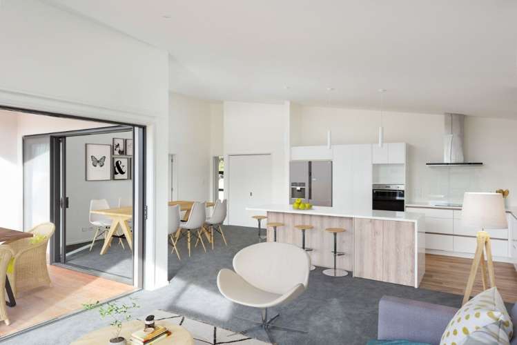 1 Monarch Lane Springlands_8