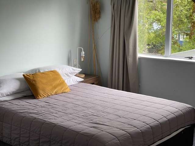 43 Carroll Street National Park_3