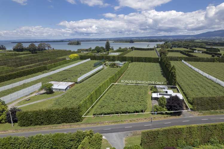 186 Beach Road Katikati_5