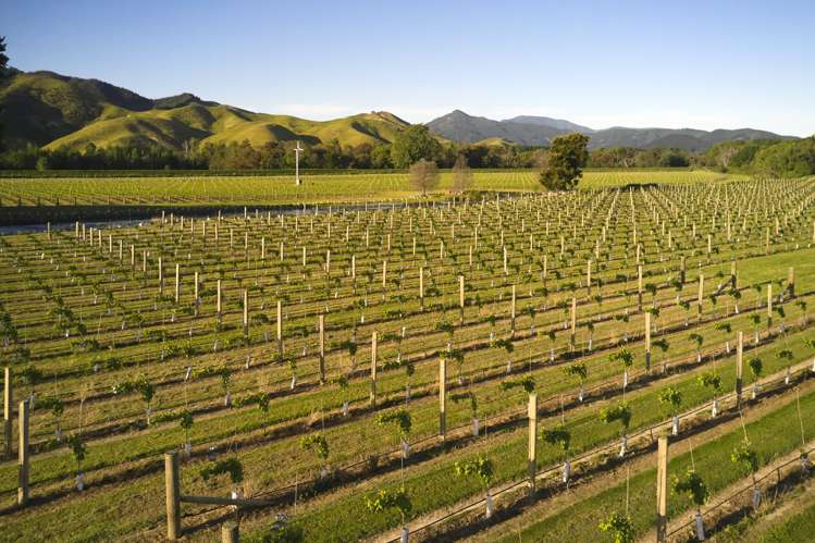 212 Selmes Road Rapaura_14