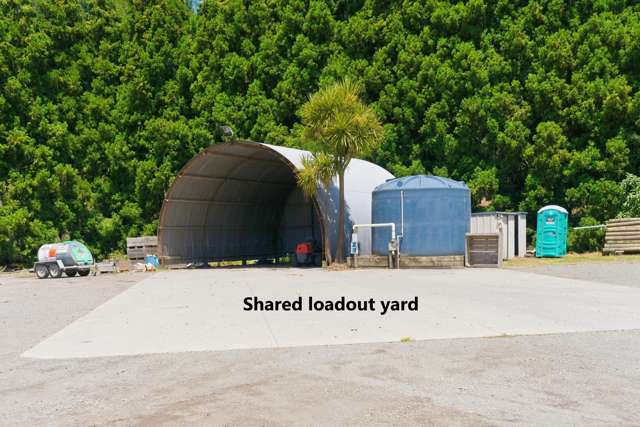 80 Roydon Downs Road Paengaroa_2