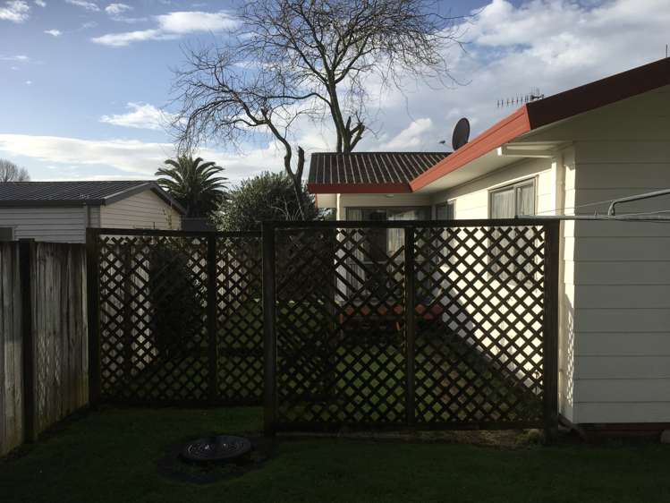 53A No 3 Road Te Puke_9