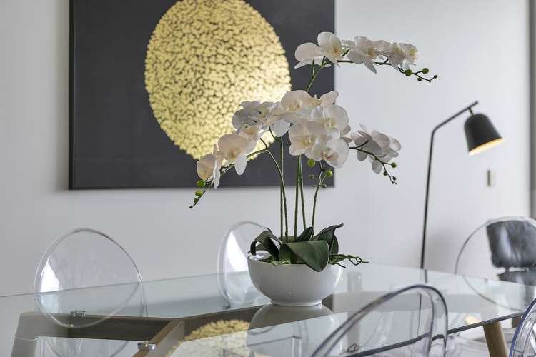 506/28 College Hill Freemans Bay_8